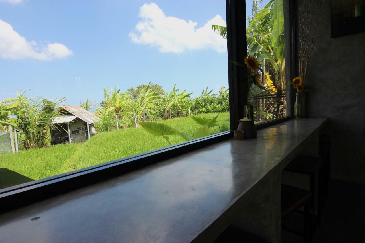 De Vir House Apartman Canggu Kültér fotó